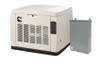 Cummins RS20ACE 20kW Quiet Connect Extreme Weather Generator with 200A SE Transfer Switch